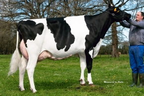 JAIME SHARPE 977