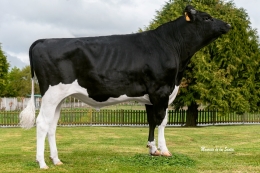 JAIME SATURN XUSTAS ET        