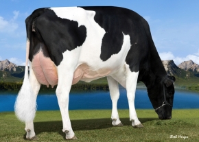 BRYHILL RANSOM MARQUISSE ET