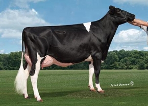CO-OP SPS PRUDENCE 7079 ET