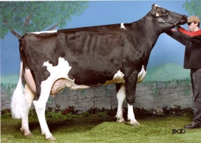 BEAUCOISE INQUIRER CITATION