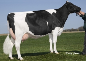 ERBCREST MR SAM MISS ROSE