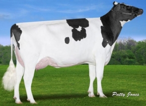 CLAYNOOK FABBY SILVER ET