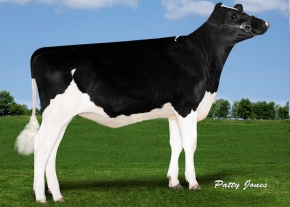 THURLER JEDI ROYAL ET