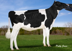 GEN-I-BEQ LEXOR PLAGE