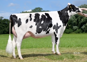 THI 15399