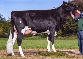 HGH MIRANDA ET