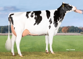 NEPHA  ET