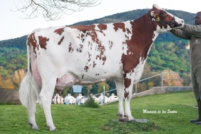 THOS APOLL ALUMETTE P RED ET