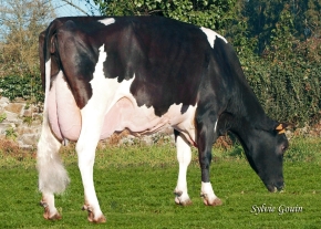 BOS CANEDA NAOMI STORM ET