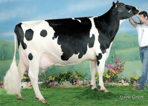 BOS CHAMPION JUDITH ET