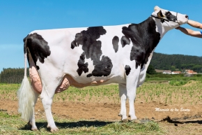CUNDINS CINDEROXY KINGBOY ET