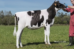 CAMPA 5G SPECIAL 1 FIV ET