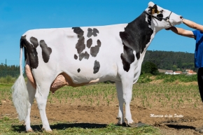 CUNDINS CR1 JEDI FIV ET