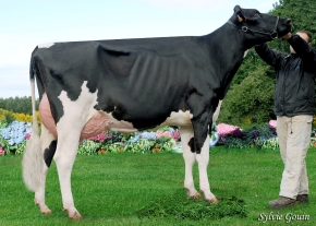 BOS COCHERO XACOBEO JESSICA ET