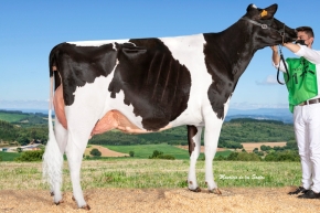 TIO ANDRES SUPERTORO 3106-331