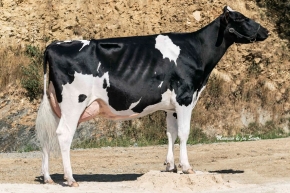 VALCARCE MELLOR 1715