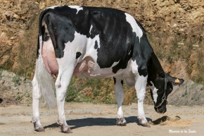 VALCARCE MELLOR 1715