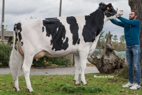 CASAGABINO JAKE NAIARA FIV ET