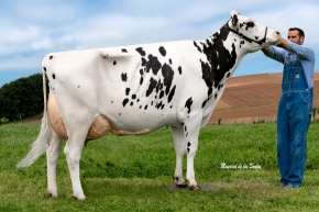 DO REI MELLOR CUBANA