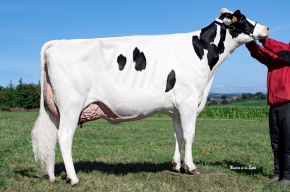 XASTRE CASTROMIL TAMARA