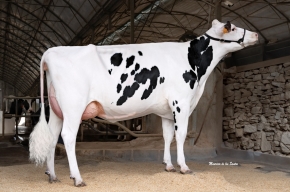 REGO GAUDI GARBIÑE 7143