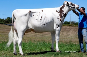 ABONXO SALVUS ROSALINA RED ET