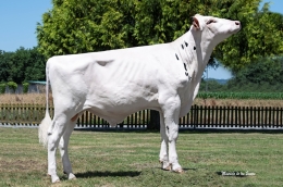 LSCG GABRIELLE GABRYS FIV ET  