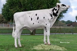 CIAM-XF THIEM TULIO ET        