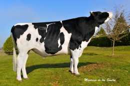 BOS BAIXO AIRRAID XUDAN ET