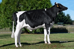 JAIME CARAMELO CARAMBA ET     