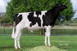 SAT AGOSTO DAR. THIEM DUTTON  