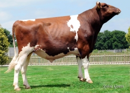 A-L-H ADMIRAAL MORODO ET ROJO