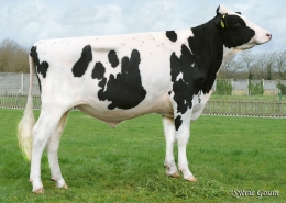 BALLYELLY PADDINGTON ET