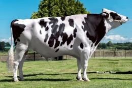 ZANDENBURG EVAN MELLOR