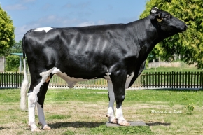PALMER ET