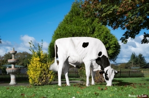 JBTOULLEC ULOKA JBT ET