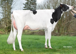 JB TOULLEC SOPHIA ET