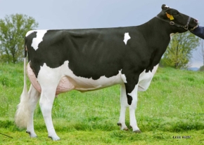 GO-FARM EUROPE ET