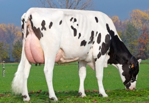 GO-FARM ZOARA ET