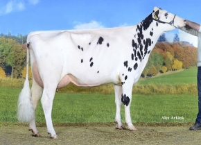 JK DG CINDERE ET