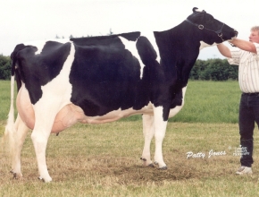 MARKWELL LUKE RAPTURE ET