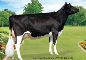 LARCREST COAL ET