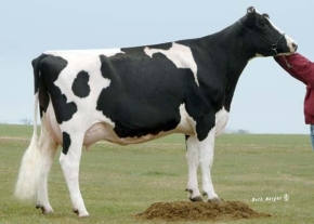 JEFFANA FINLEY FOXY ET