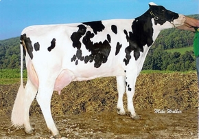 COYNE-FARMS SHOTTLE JAM ET