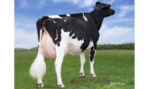 REGANCREST CHASSITY ET