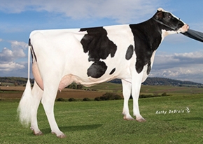 PEN-COL ROBUST HARP ET