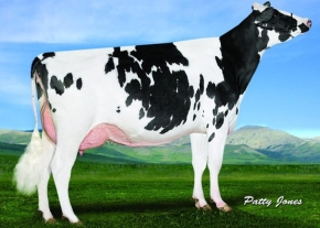 GOLD-N-OAKS MVP ARIA2815 ET