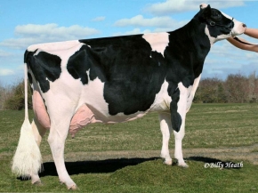 WINDSOR-MANOR RUD ZIP