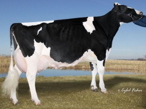 WHITTIER-FARMS JAMES ROZLYN